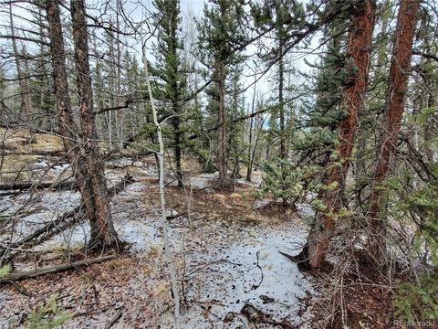 194 Buckshot Trl, Como, CO 80432 photo 11