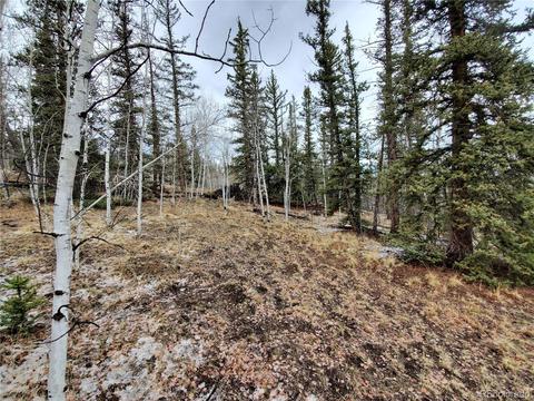 194 Buckshot Trl, Como, CO 80432 photo 4
