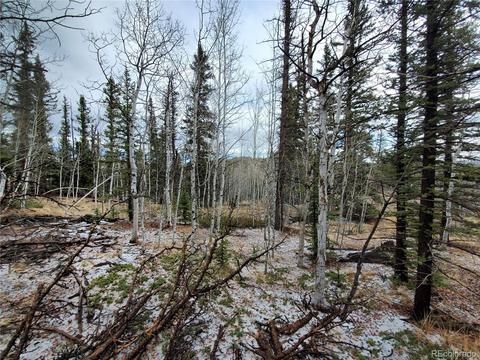 194 Buckshot Trl, Como, CO 80432 photo 1