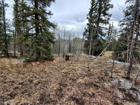 194 Buckshot Trl, Como, CO 80432 photo 3