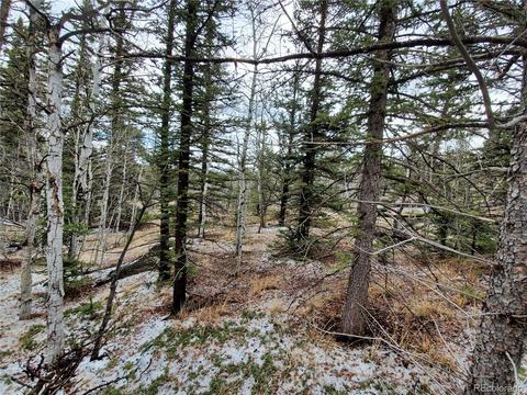 194 Buckshot Trl, Como, CO 80432 photo 2