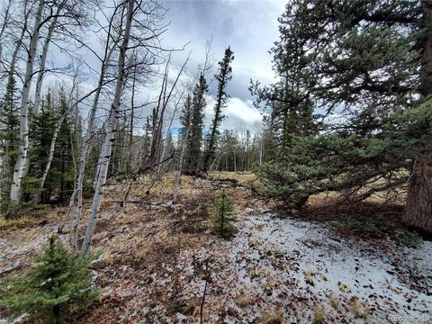 194 Buckshot Trl, Como, CO 80432 photo 7