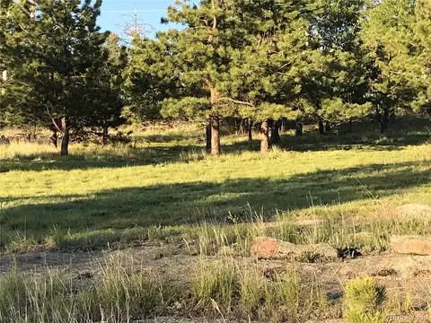 314 Arrowhead Dr, Florissant, CO 80816