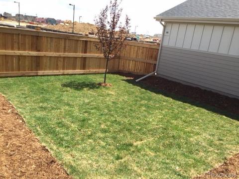 8469 E 54th Pl, Denver, CO 80238 photo 11