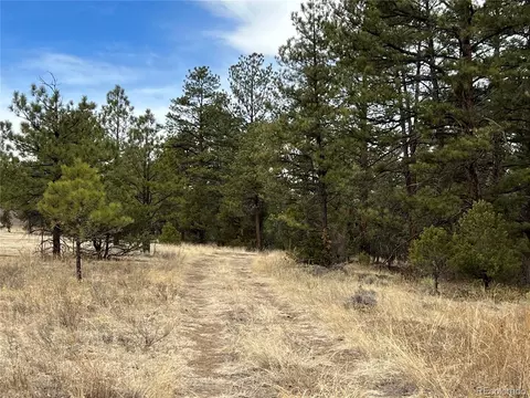 1563 19th Trl, Cotopaxi, CO 81223