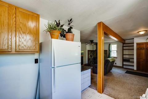 317 331 Jones Rd, Bailey, CO 80421 photo 10