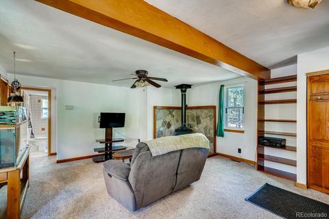 317 331 Jones Rd, Bailey, CO 80421 photo 3