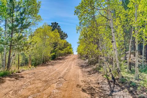 317 331 Jones Rd, Bailey, CO 80421 photo 21