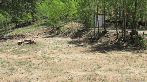 317 331 Jones Rd, Bailey, CO 80421 photo 29