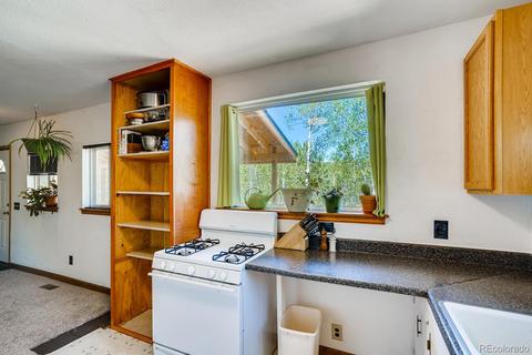 317 331 Jones Rd, Bailey, CO 80421 photo 9