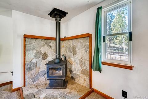 317 331 Jones Rd, Bailey, CO 80421 photo 18
