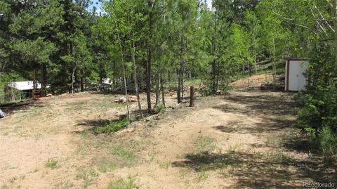 317 331 Jones Rd, Bailey, CO 80421 photo 30
