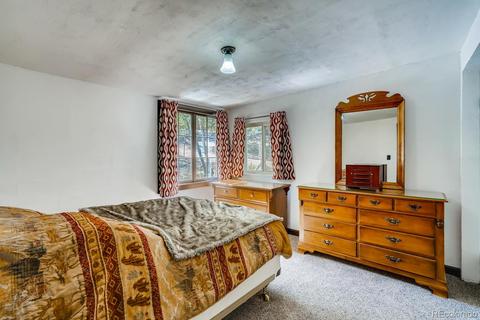 317 331 Jones Rd, Bailey, CO 80421 photo 12