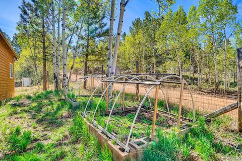 317 331 Jones Rd, Bailey, CO 80421 photo 20