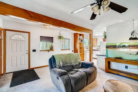 317 331 Jones Rd, Bailey, CO 80421 photo 6