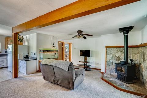 317 331 Jones Rd, Bailey, CO 80421 photo 4
