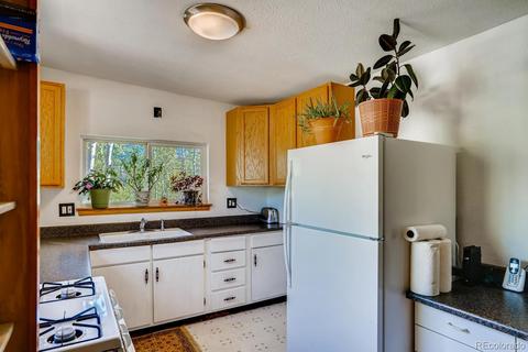 317 331 Jones Rd, Bailey, CO 80421 photo 8