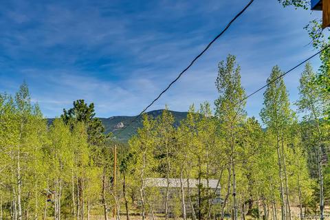 317 331 Jones Rd, Bailey, CO 80421 photo 22