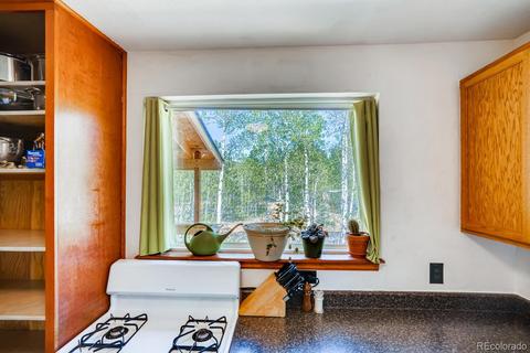 317 331 Jones Rd, Bailey, CO 80421 photo 11