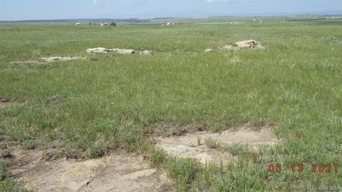 3560 Matt Dillon, Elbert, CO 80106 photo 9