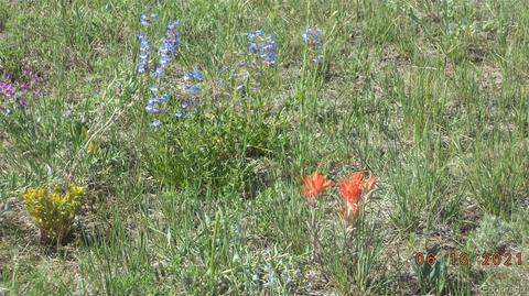 3560 Matt Dillon, Elbert, CO 80106 photo 6