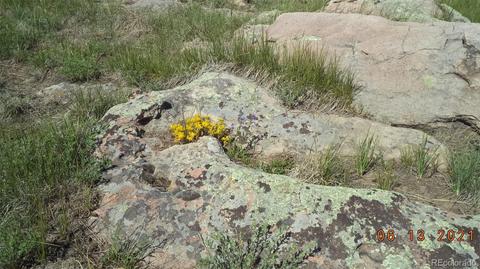3560 Matt Dillon, Elbert, CO 80106 photo 4
