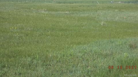 3560 Matt Dillon, Elbert, CO 80106 photo 2