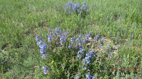 3560 Matt Dillon, Elbert, CO 80106 photo 3