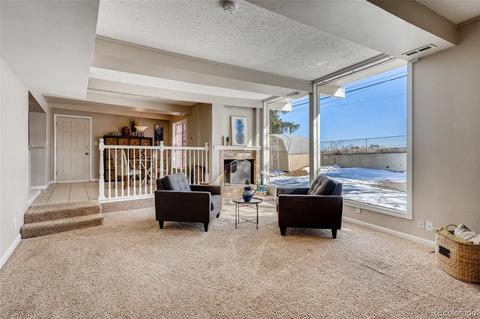 360 E 82nd Dr, Denver, CO 80229 photo 10
