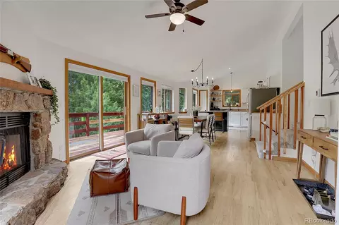 188 Silver Springs Rd, Bailey, CO 80421 photo 14