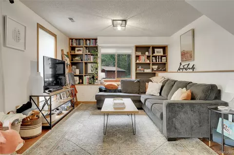 188 Silver Springs Rd, Bailey, CO 80421 photo 29
