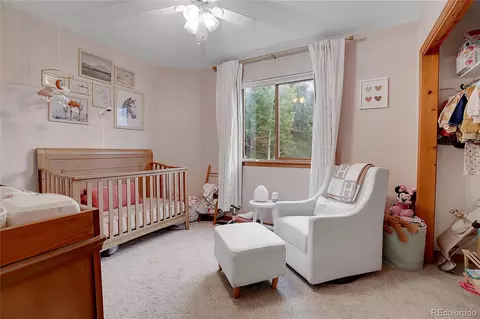188 Silver Springs Rd, Bailey, CO 80421 photo 23