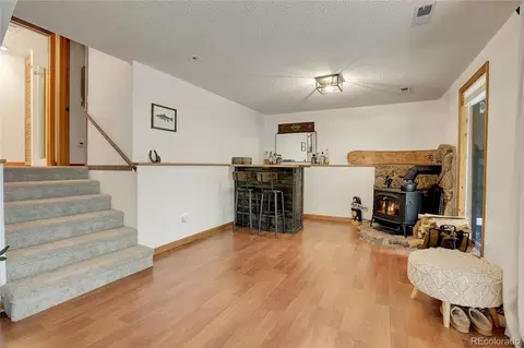 188 Silver Springs Rd, Bailey, CO 80421 photo 32