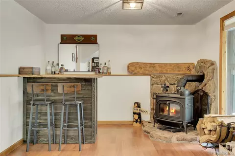 188 Silver Springs Rd, Bailey, CO 80421 photo 33