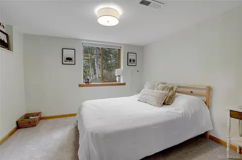 188 Silver Springs Rd, Bailey, CO 80421 photo 26