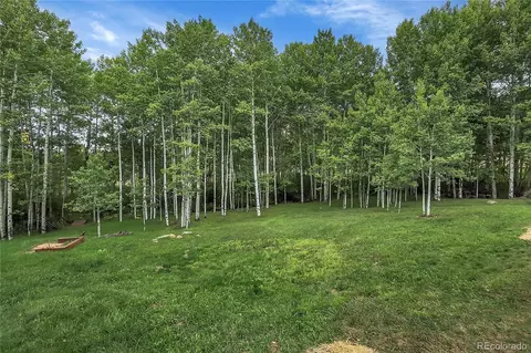 188 Silver Springs Rd, Bailey, CO 80421 photo 4