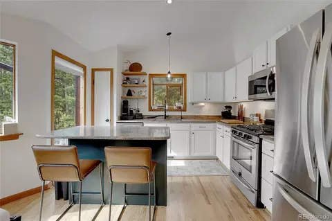 188 Silver Springs Rd, Bailey, CO 80421 photo 7