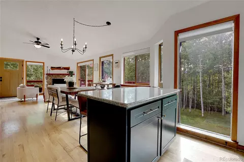 188 Silver Springs Rd, Bailey, CO 80421 photo 11