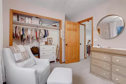 188 Silver Springs Rd, Bailey, CO 80421 photo 24