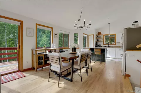 188 Silver Springs Rd, Bailey, CO 80421 photo 13