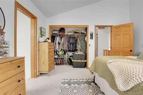 188 Silver Springs Rd, Bailey, CO 80421 photo 20