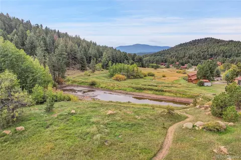 188 Silver Springs Rd, Bailey, CO 80421 photo 6