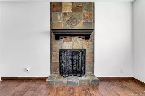 Living - 441 E 78th Pl, Denver, CO 80229 photo 1 of 6