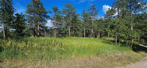 27903 Pine Dr, Evergreen, CO 80439