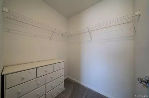 16422 Mountain Flax Dr, Monument, CO 80132 photo 24