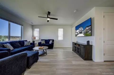 16422 Mountain Flax Dr, Monument, CO 80132 photo 7