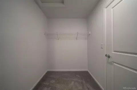 16422 Mountain Flax Dr, Monument, CO 80132 photo 22