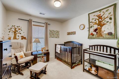 9047 Apache Plume Dr #C, Parker, CO 80134 photo 12