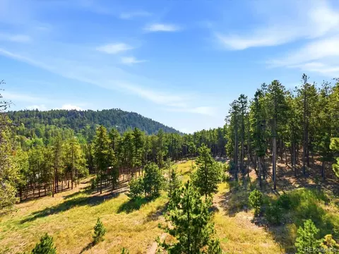 10594 Crystal Dr, Morrison, CO 80465 photo 9