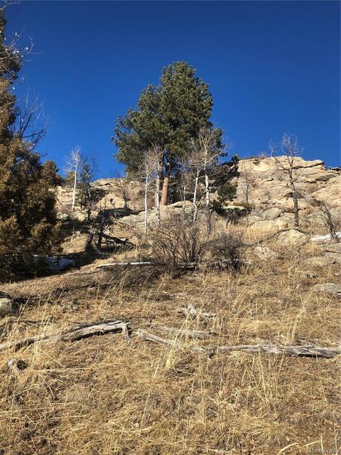26739 Mirage Dr, Conifer, CO 80433 photo 20